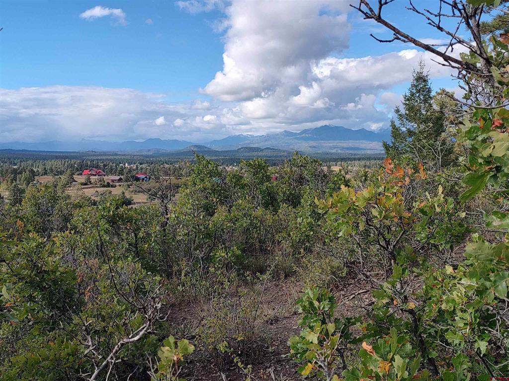 672 Carino Place Pagosa Springs CO 81147