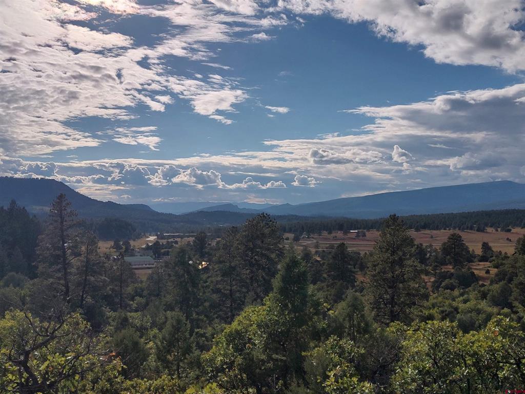 672 Carino Place Pagosa Springs CO 81147