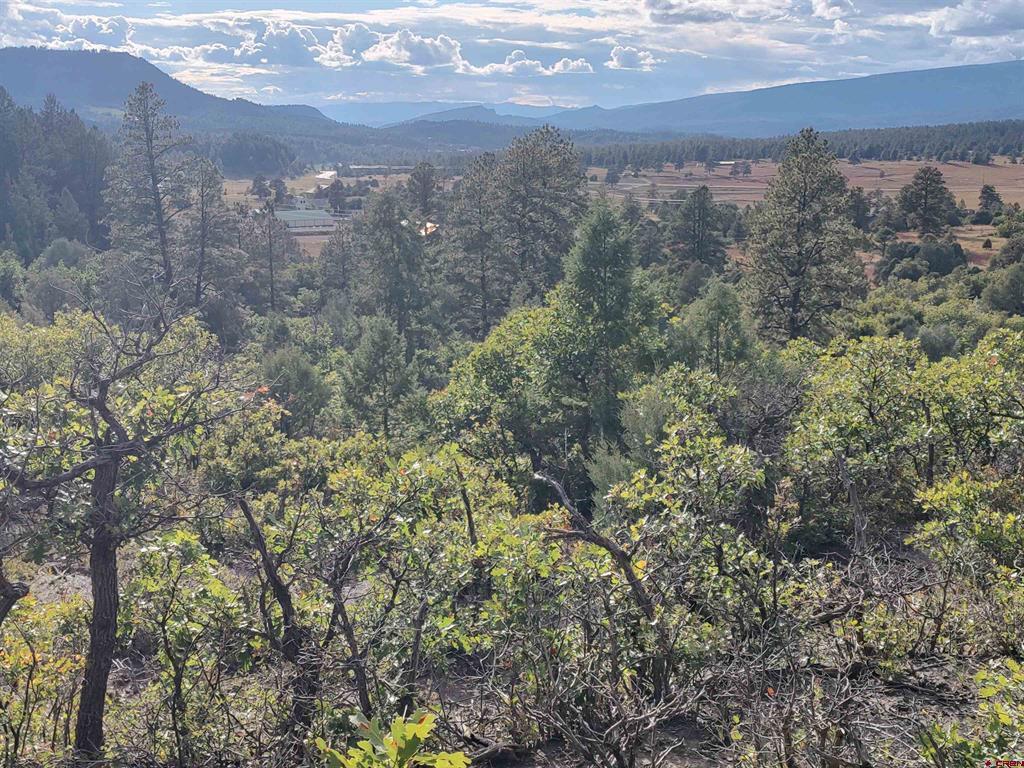 672 Carino Place Pagosa Springs CO 81147