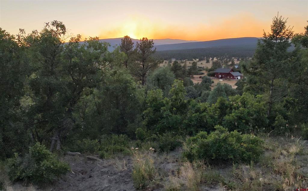 672 Carino Place Pagosa Springs CO 81147