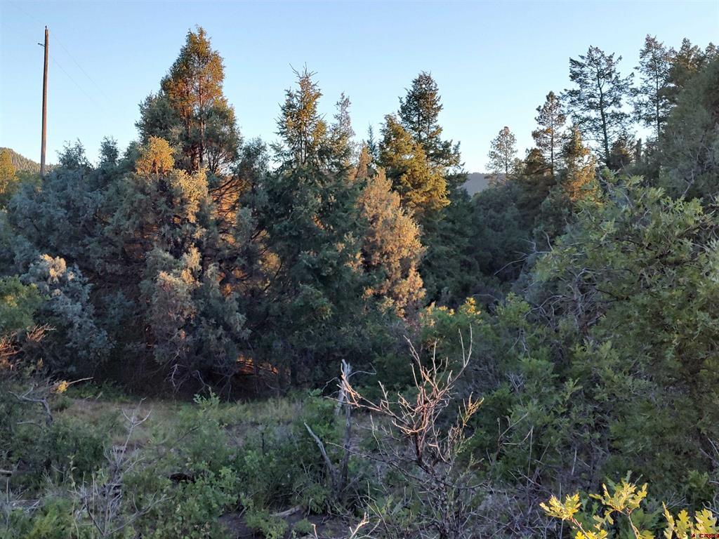 672 Carino Place Pagosa Springs CO 81147