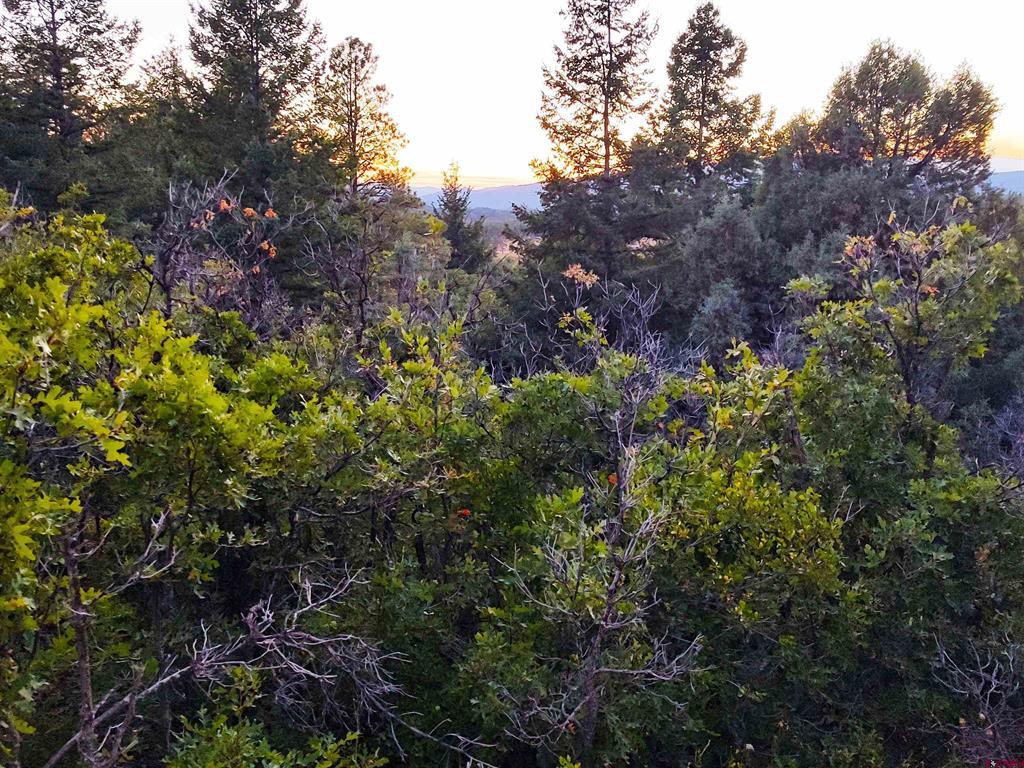 672 Carino Place Pagosa Springs CO 81147