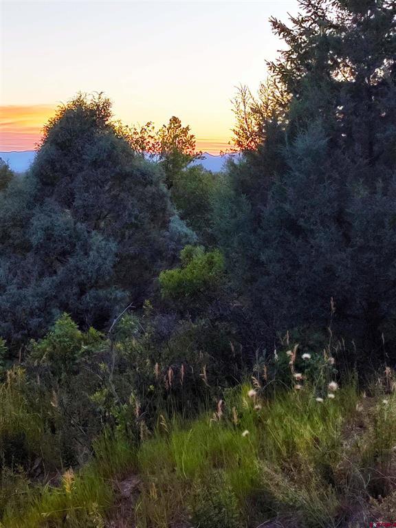 672 Carino Place Pagosa Springs CO 81147