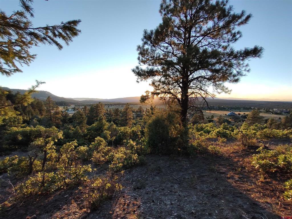672 Carino Place Pagosa Springs CO 81147
