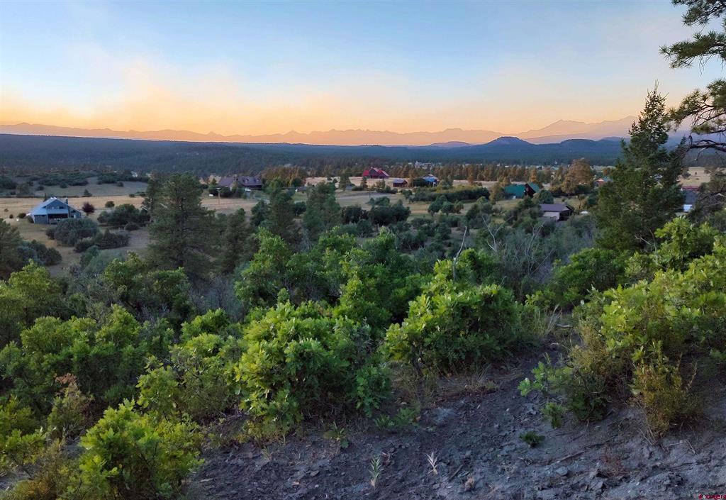 672 Carino Place Pagosa Springs CO 81147
