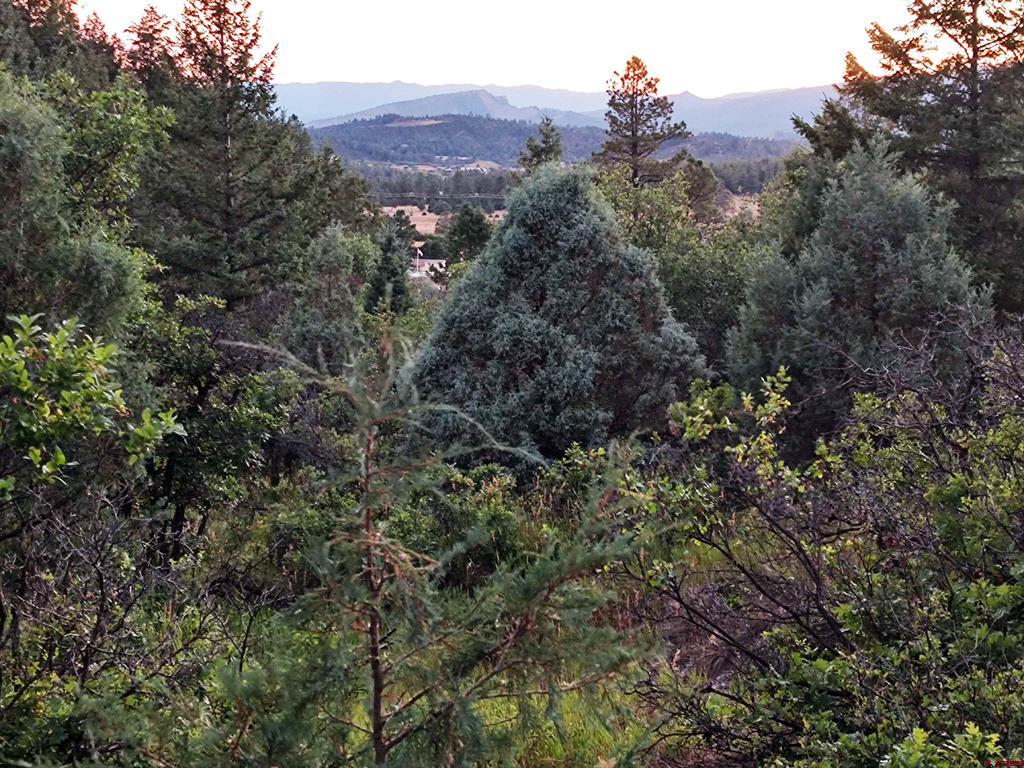 672 Carino Place Pagosa Springs CO 81147