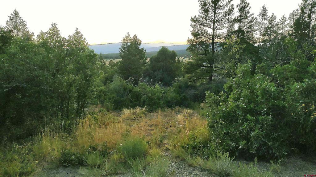 672 Carino Place Pagosa Springs CO 81147