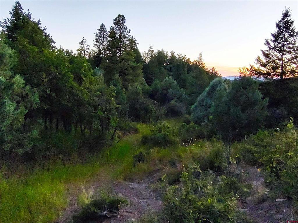 672 Carino Place Pagosa Springs CO 81147