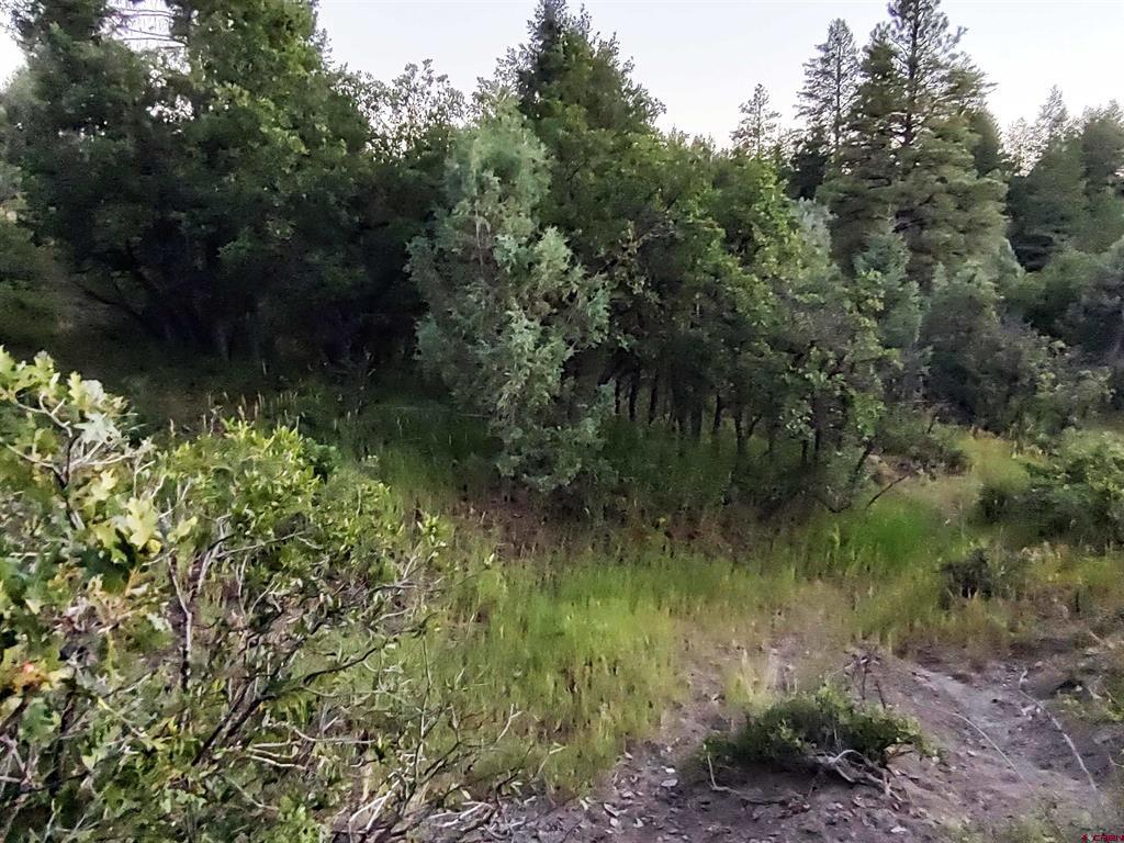 672 Carino Place Pagosa Springs CO 81147