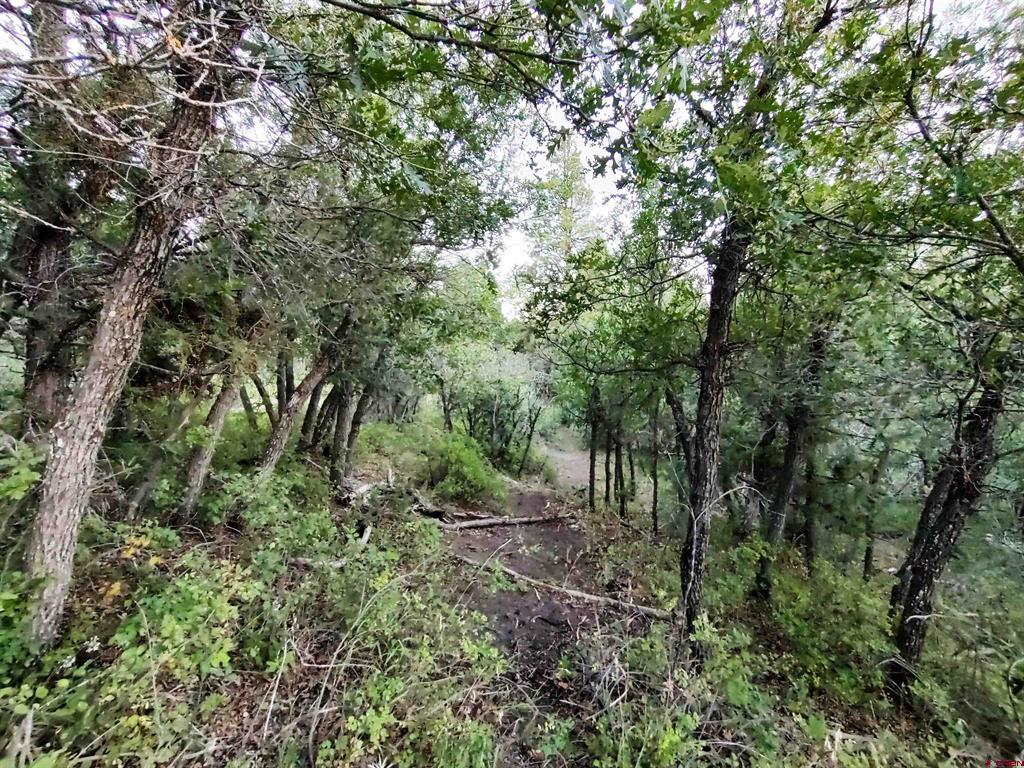672 Carino Place Pagosa Springs CO 81147