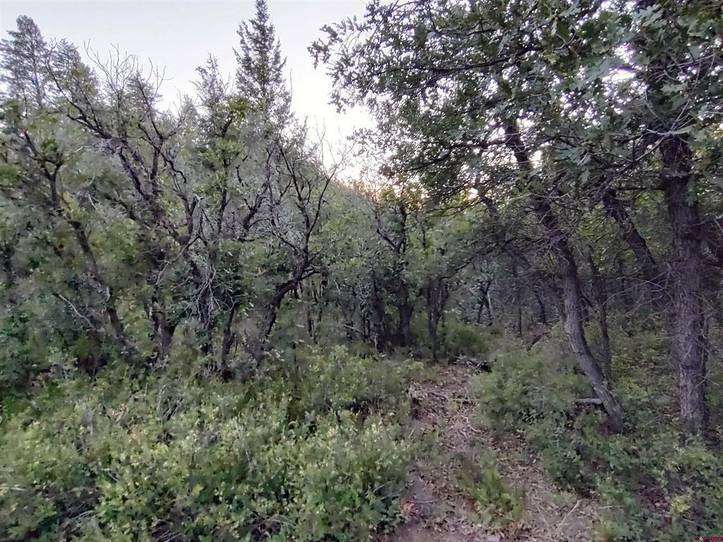 672 Carino Place Pagosa Springs CO 81147