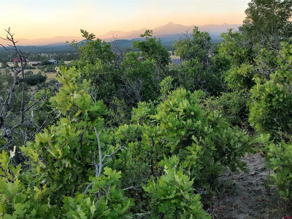 672 Carino Place Pagosa Springs CO 81147