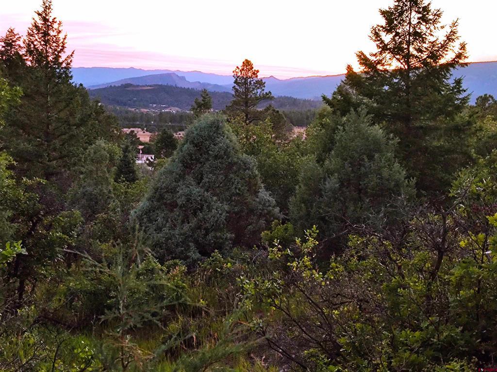672 Carino Place Pagosa Springs CO 81147