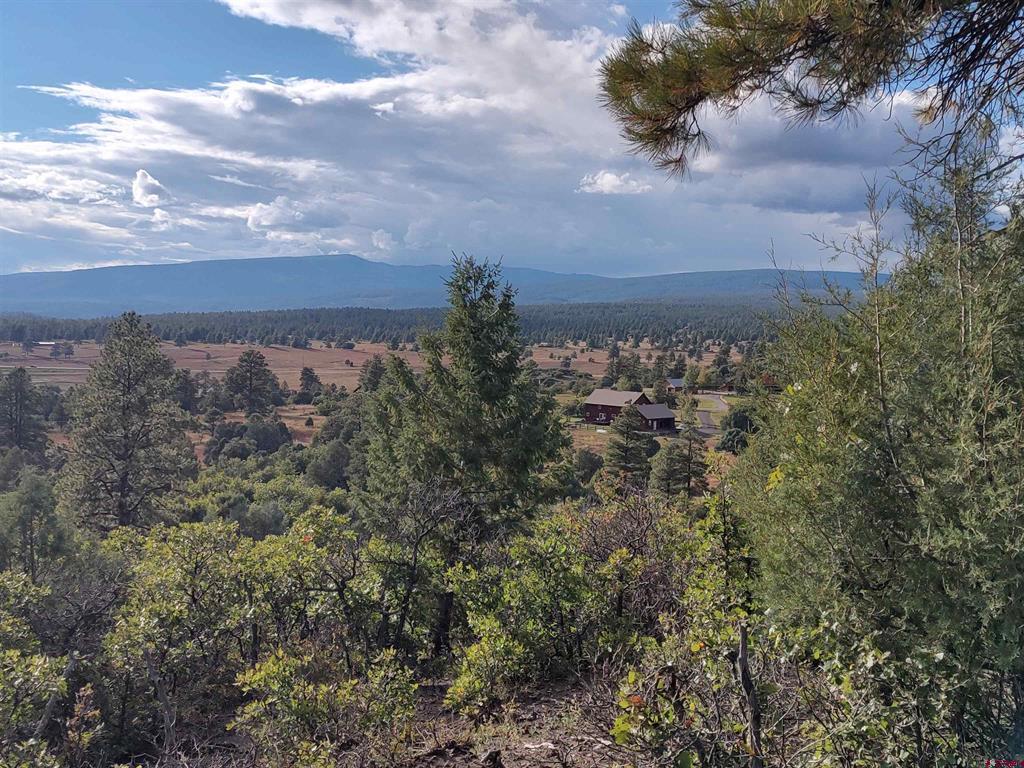 672 Carino Place Pagosa Springs CO 81147