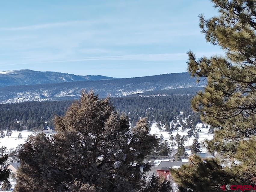 672 Carino Place Pagosa Springs CO 81147