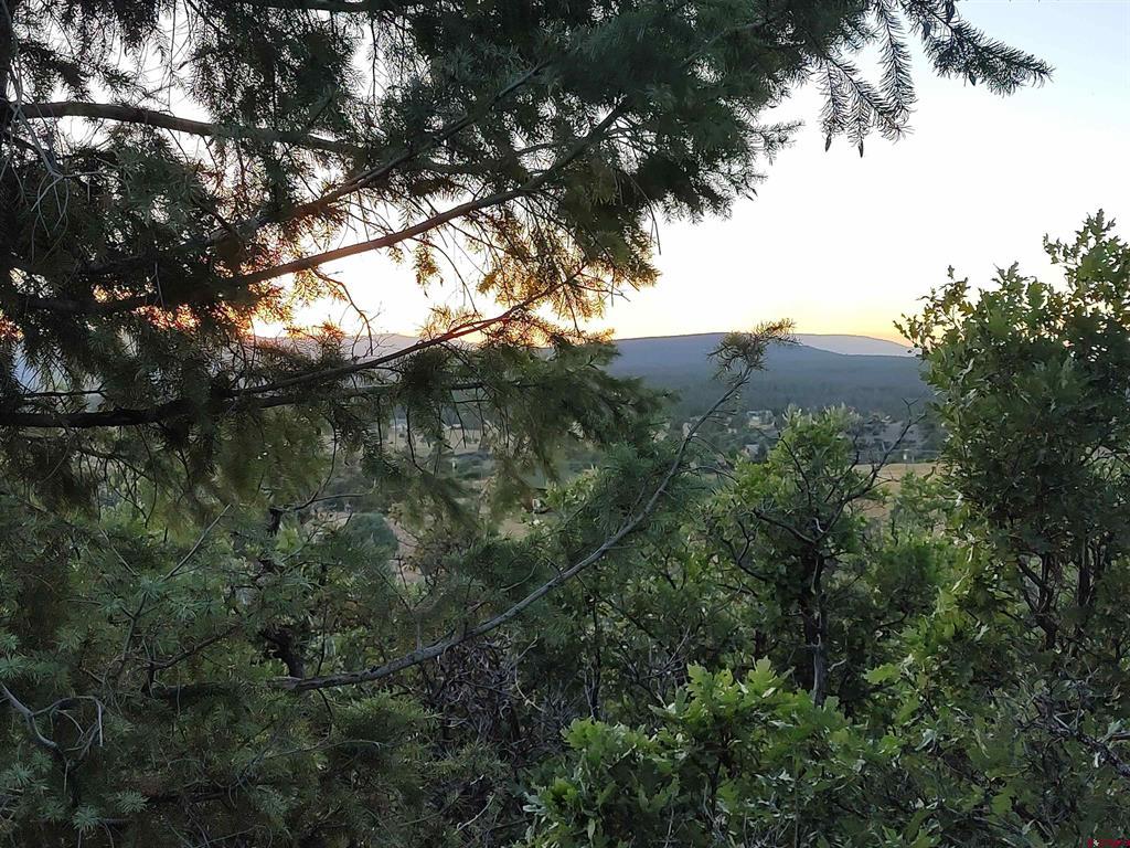 672 Carino Place Pagosa Springs CO 81147