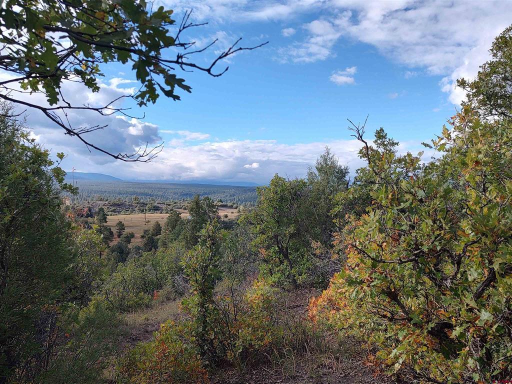672 Carino Place Pagosa Springs CO 81147