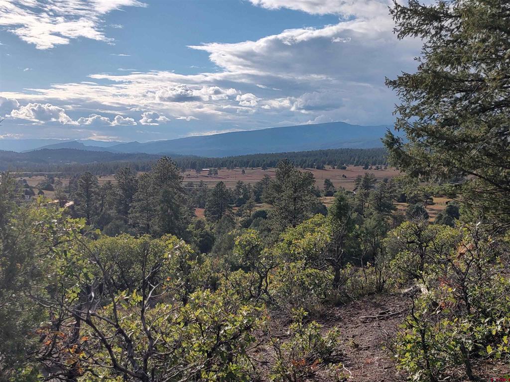 672 Carino Place Pagosa Springs CO 81147