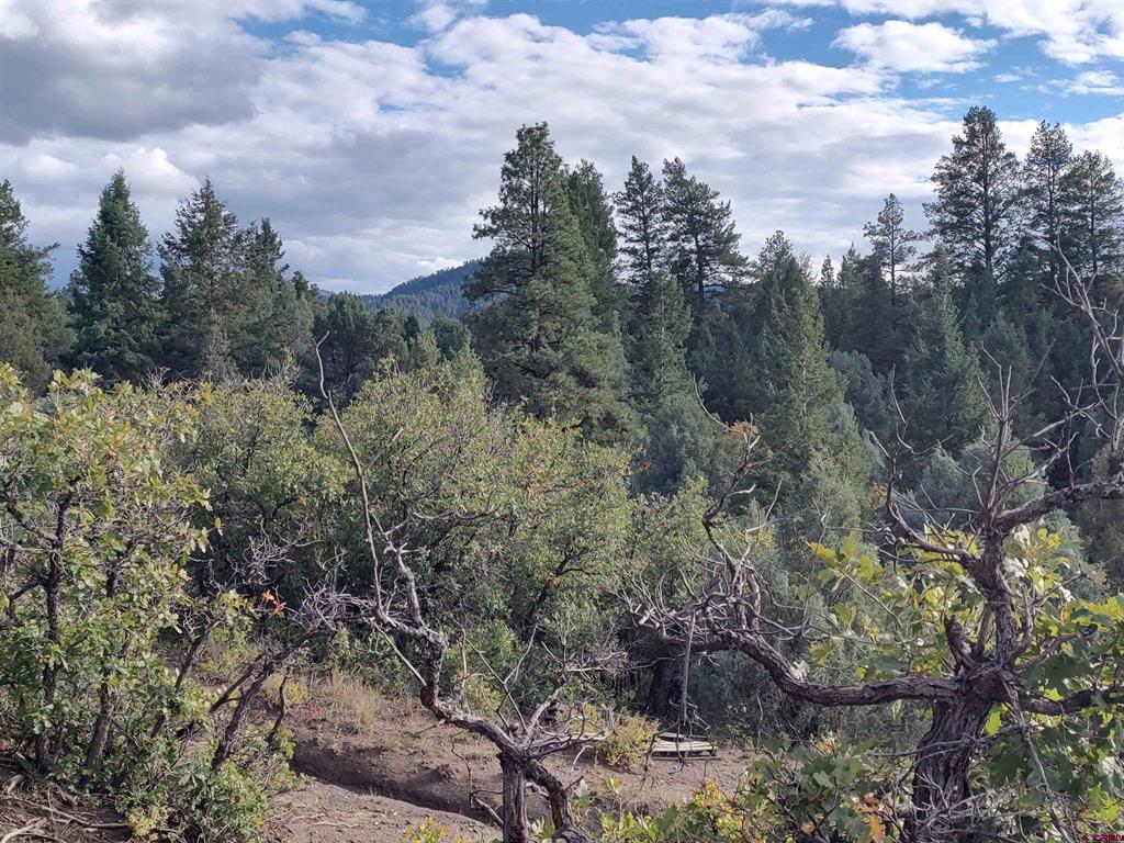 672 Carino Place Pagosa Springs CO 81147