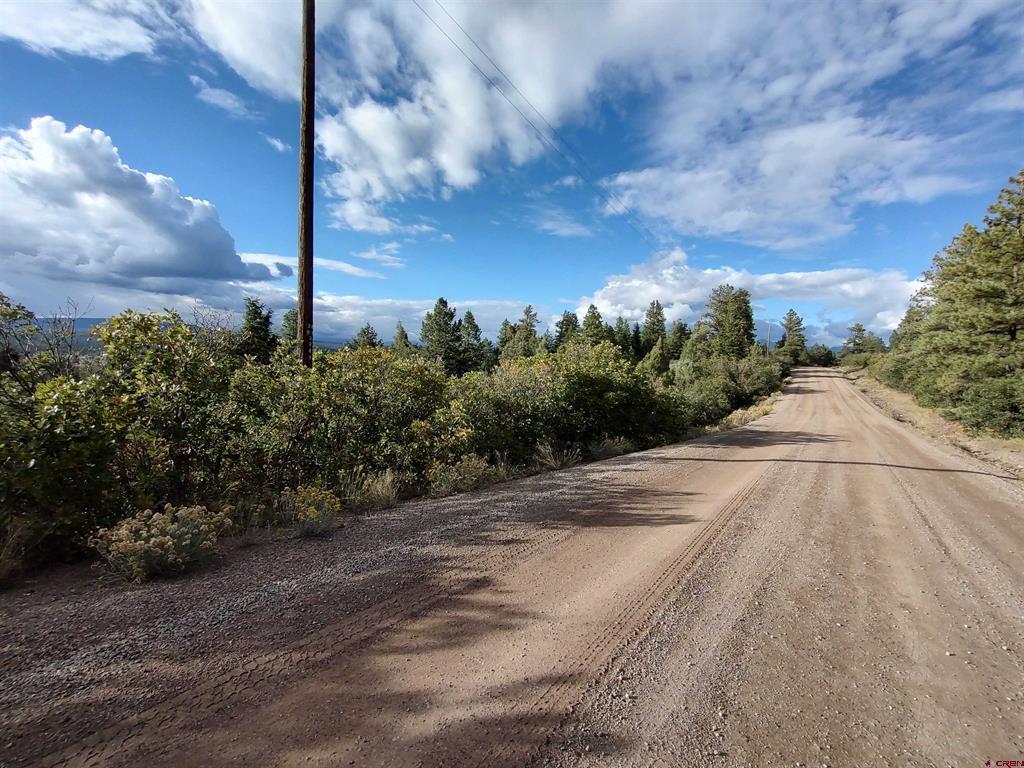 672 Carino Place Pagosa Springs CO 81147