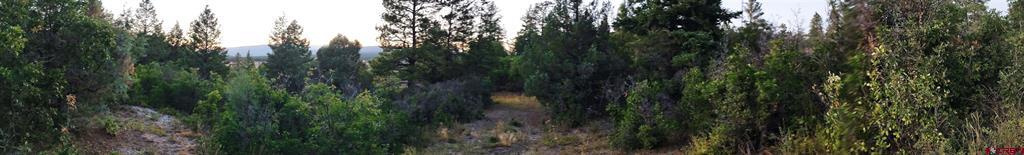 672 Carino Place Pagosa Springs CO 81147
