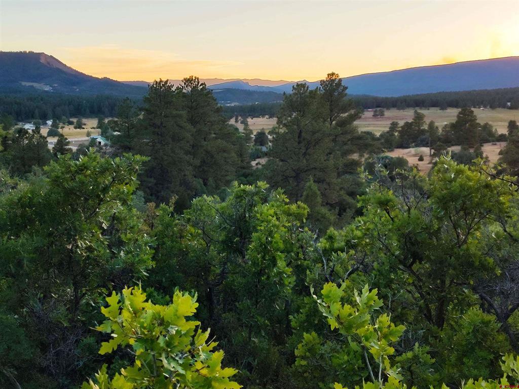 672 Carino Place Pagosa Springs CO 81147