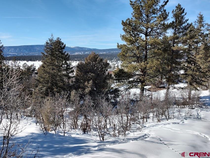 672 Carino Place Pagosa Springs CO 81147