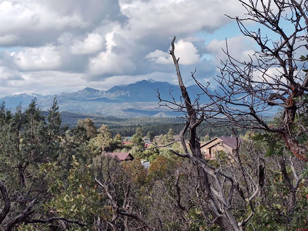 672 Carino Place Pagosa Springs CO 81147