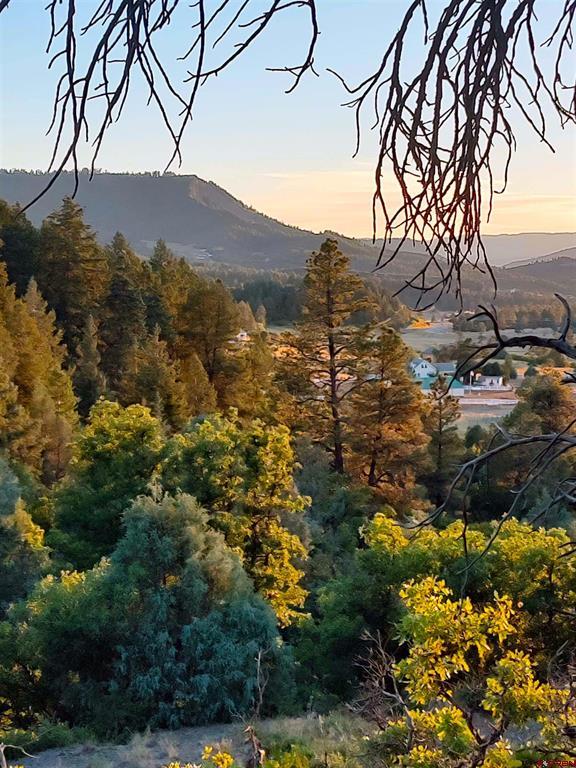 672 Carino Place Pagosa Springs CO 81147