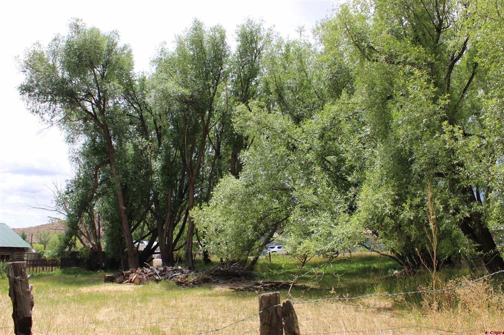 Tbd 5th Street Del Norte CO 81132