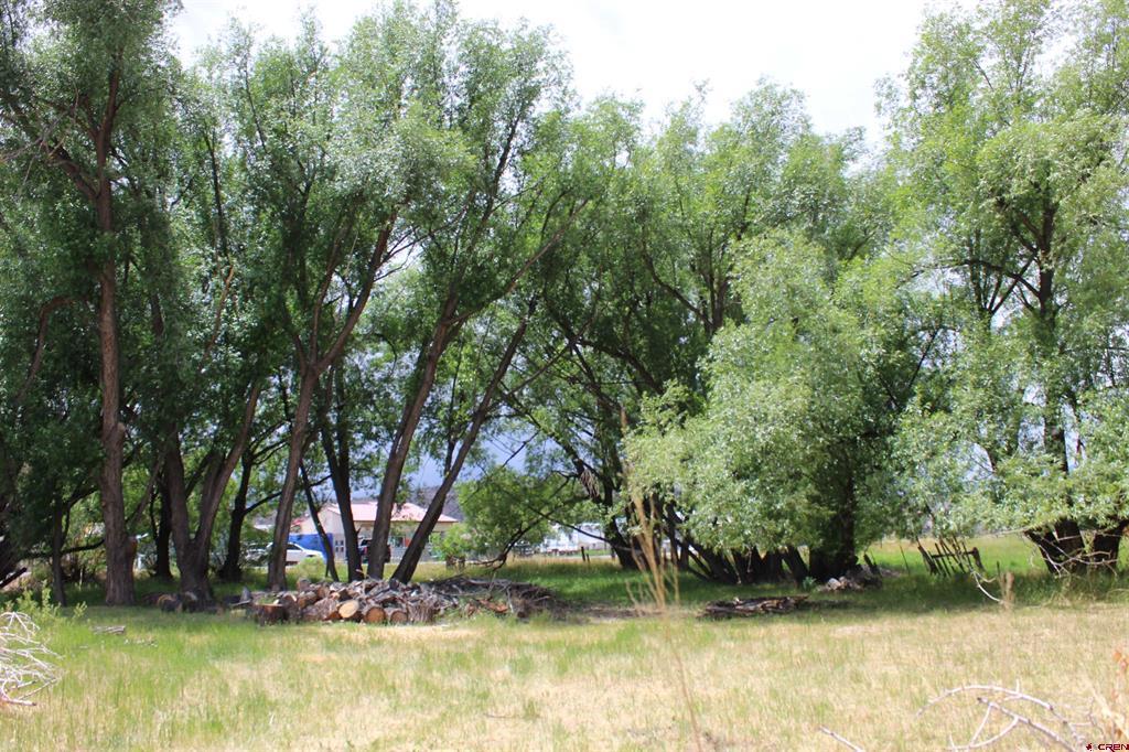 Tbd 5th Street Del Norte CO 81132
