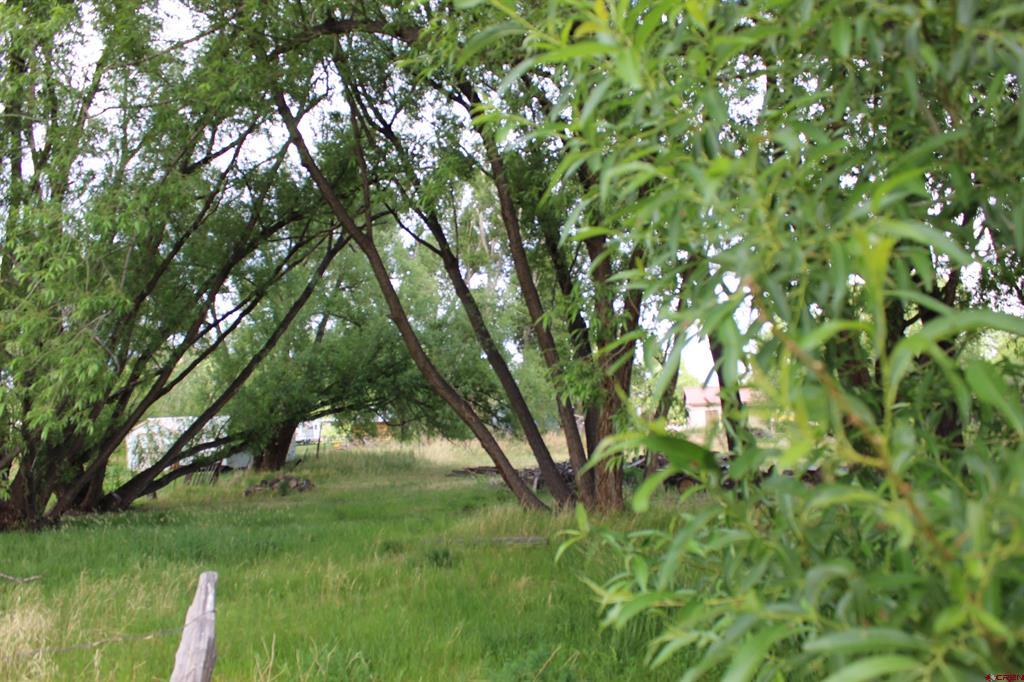 Tbd 5th Street Del Norte CO 81132