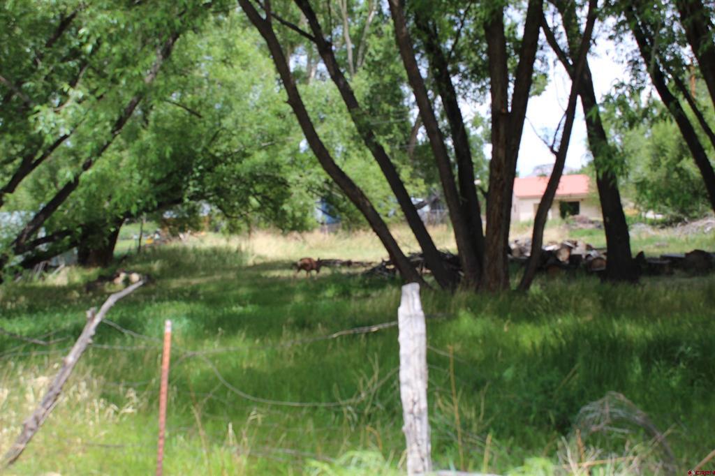 Tbd 5th Street Del Norte CO 81132