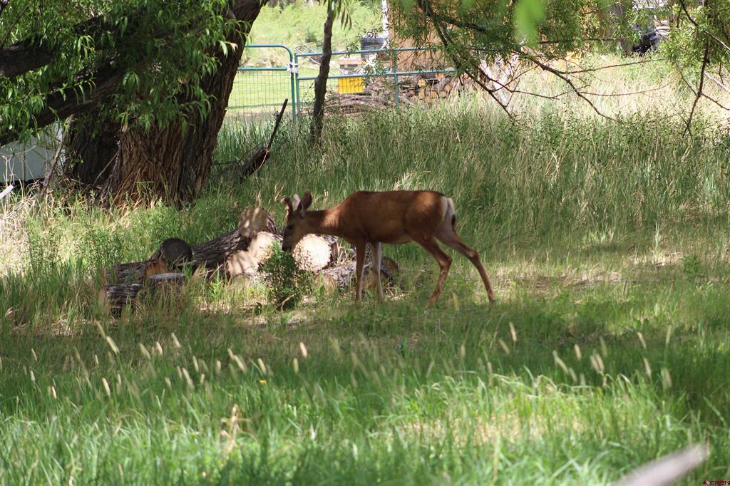 Tbd 5th Street Del Norte CO 81132