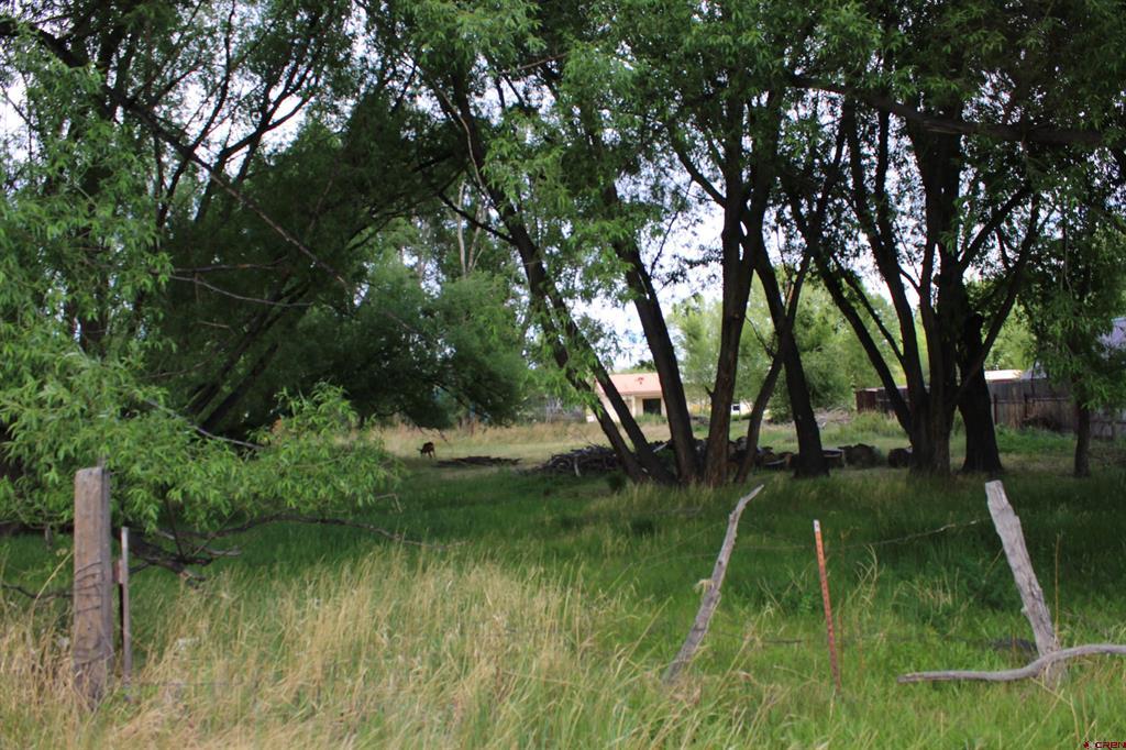 Tbd 5th Street Del Norte CO 81132