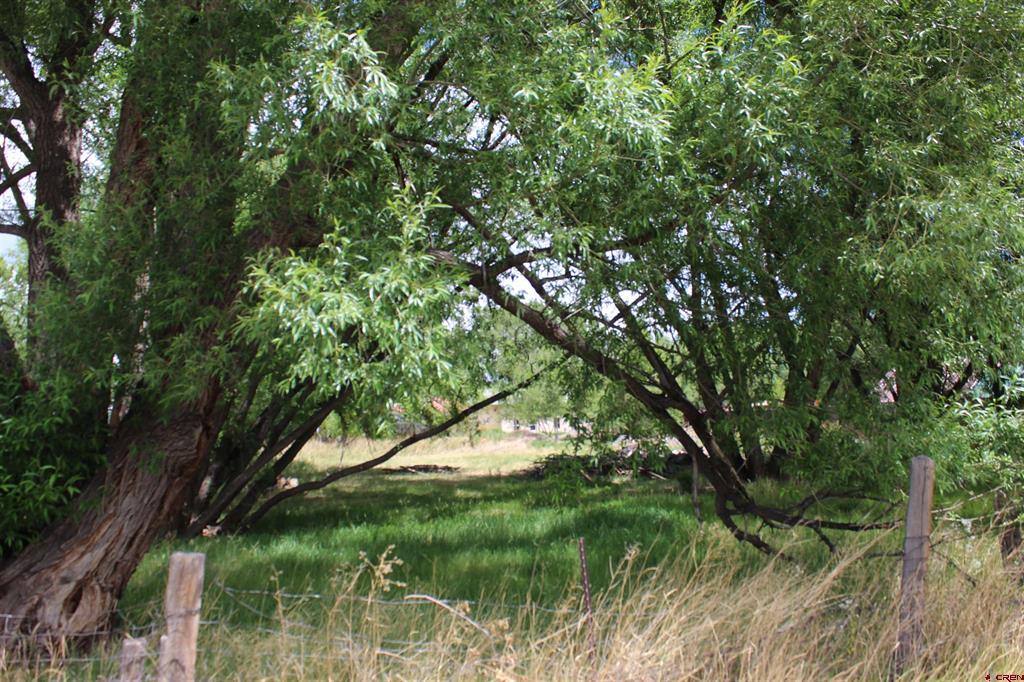 Tbd 5th Street Del Norte CO 81132