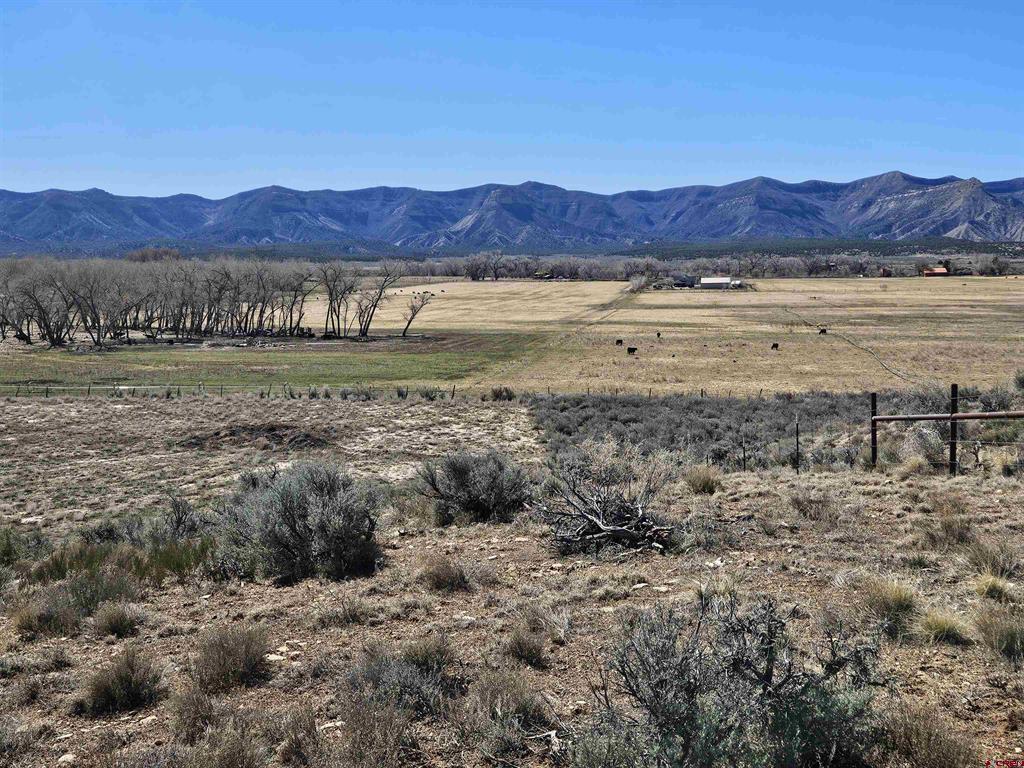 Tbd Road H.6 (South Parcel) Cortez CO 81321