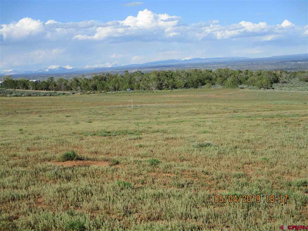 Lot 11 Road 17.9 Cortez CO 81321