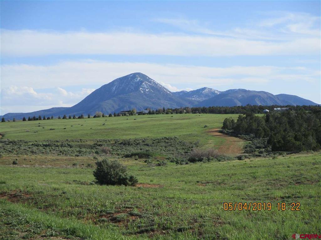Lot 11 Road 17.9 Cortez CO 81321