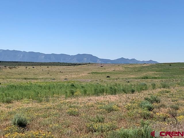 Lot 11 Road 17.9 Cortez CO 81321