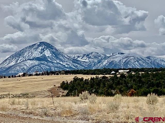 Lot 11 Road 17.9 Cortez CO 81321
