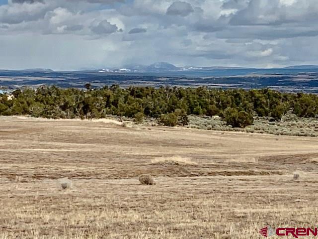 Lot 11 Road 17.9 Cortez CO 81321
