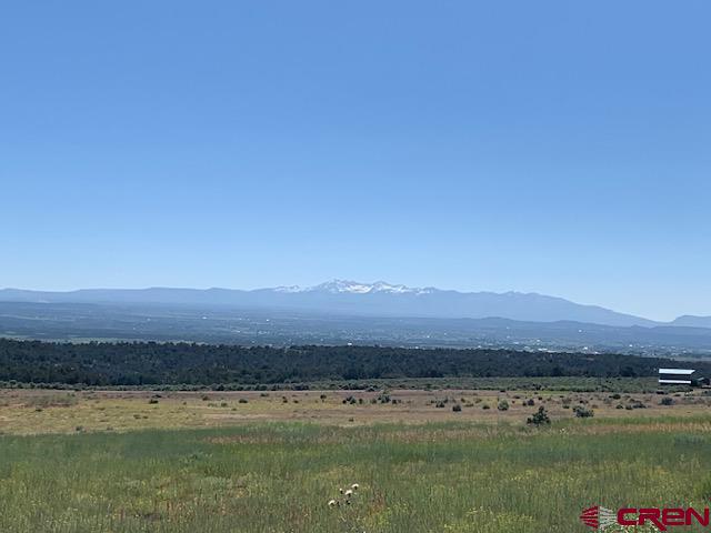 Lot 11 Road 17.9 Cortez CO 81321