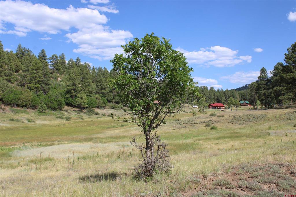 1458 Loma Linda Drive Pagosa Springs CO 81147