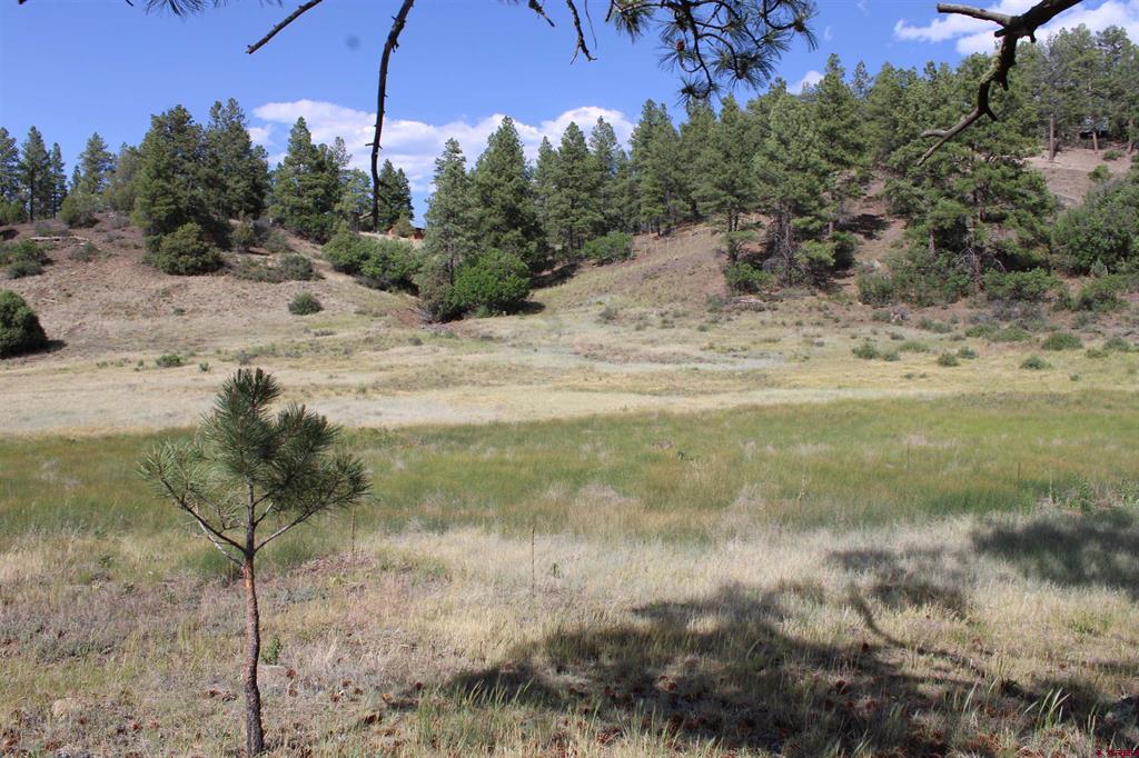 1458 Loma Linda Drive Pagosa Springs CO 81147
