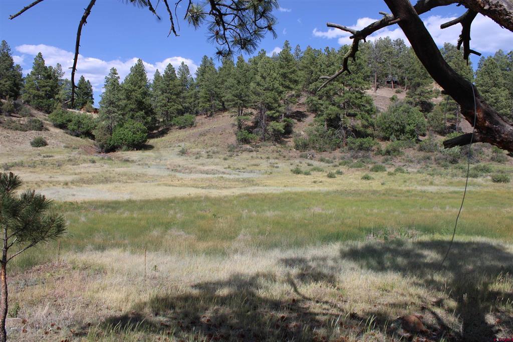 1458 Loma Linda Drive Pagosa Springs CO 81147