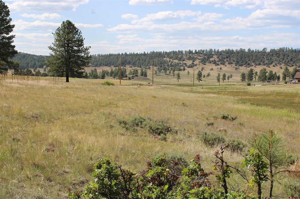 1458 Loma Linda Drive Pagosa Springs CO 81147