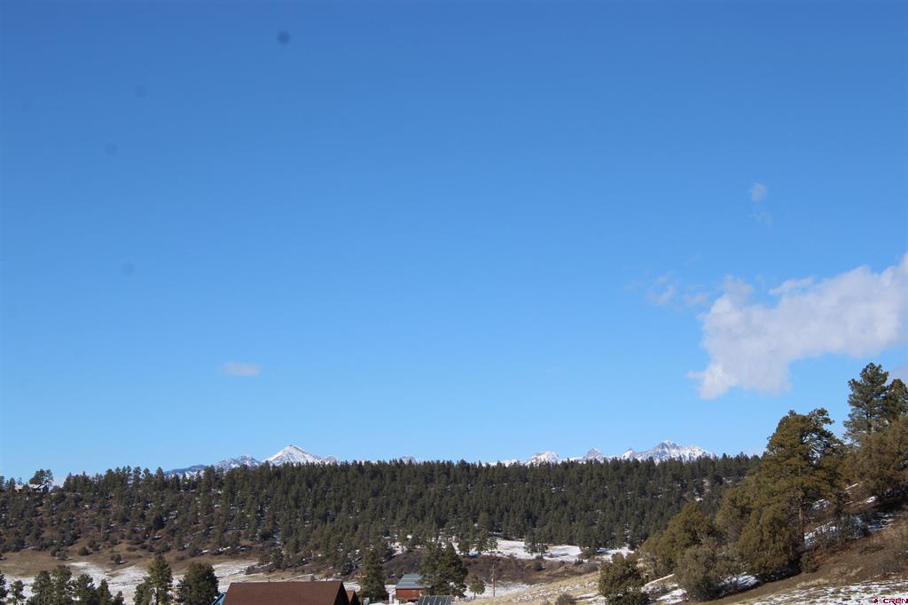 1458 Loma Linda Drive Pagosa Springs CO 81147