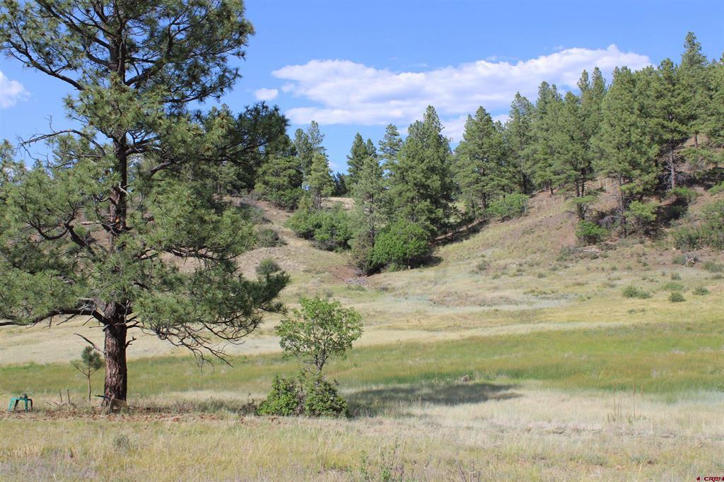 1458 Loma Linda Drive Pagosa Springs CO 81147