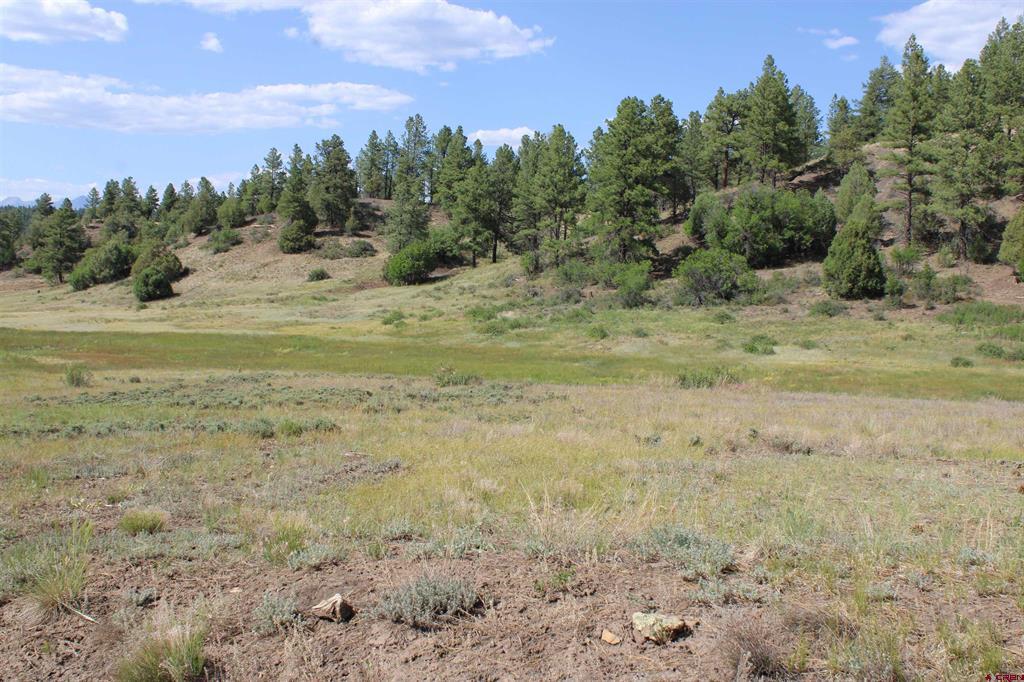 1458 Loma Linda Drive Pagosa Springs CO 81147